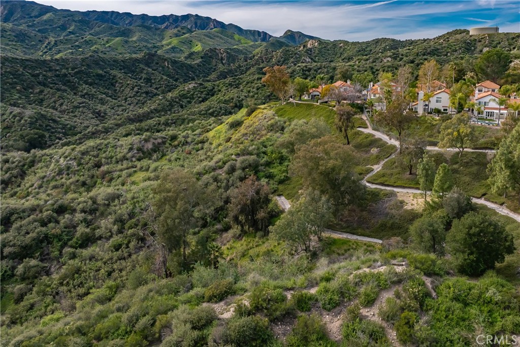 24910 Chicory Court Stevenson Ranch, CA 91381 - Photo 24 of 31 an aerial view of residential house with green space