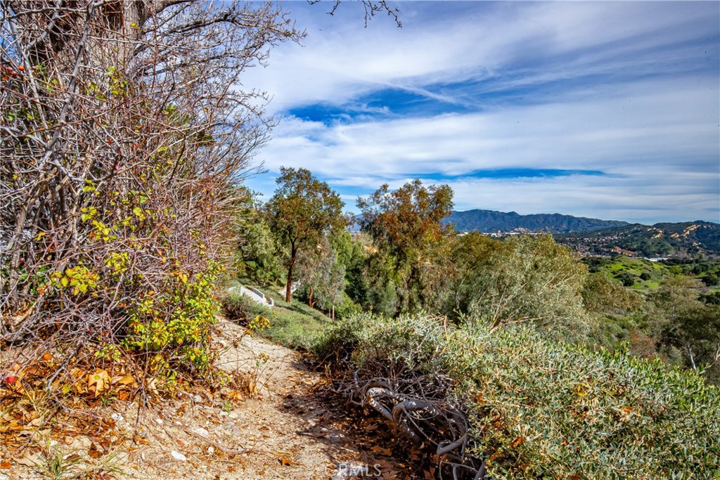 24910 Chicory Court Stevenson Ranch, CA 91381 - Photo 5 of 31 a view of a yard with a tree