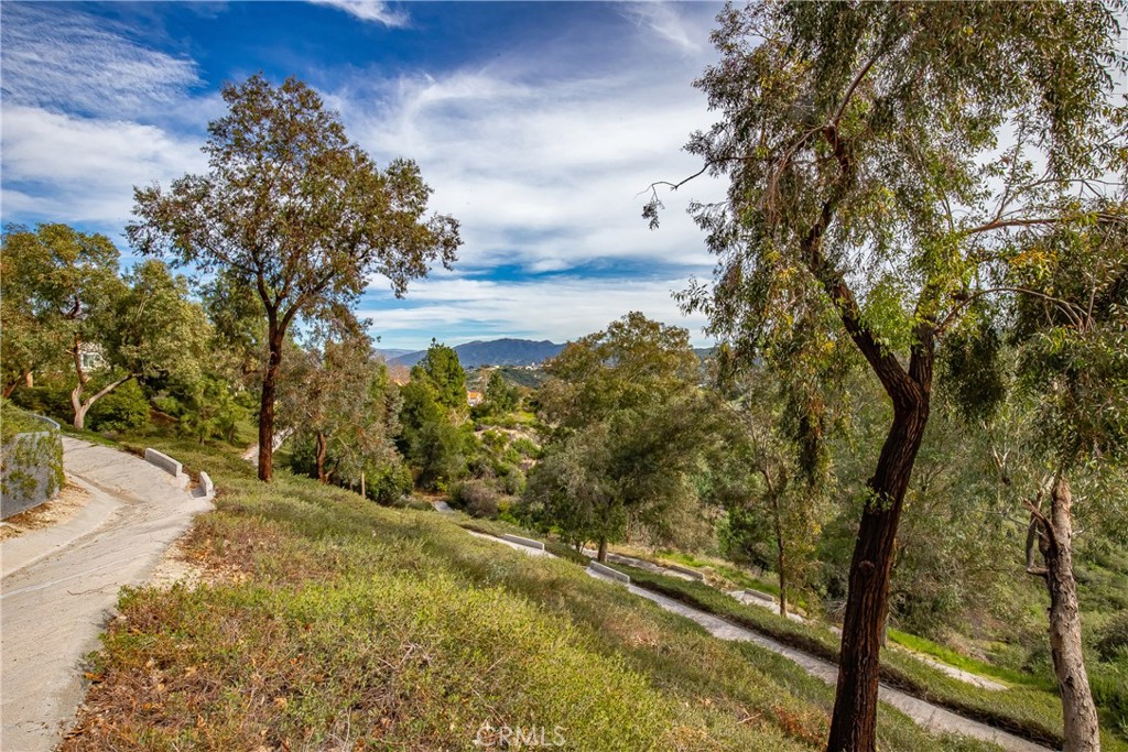 24910 Chicory Court Stevenson Ranch, CA 91381 - Photo 6 of 31 a view of a yard with an trees