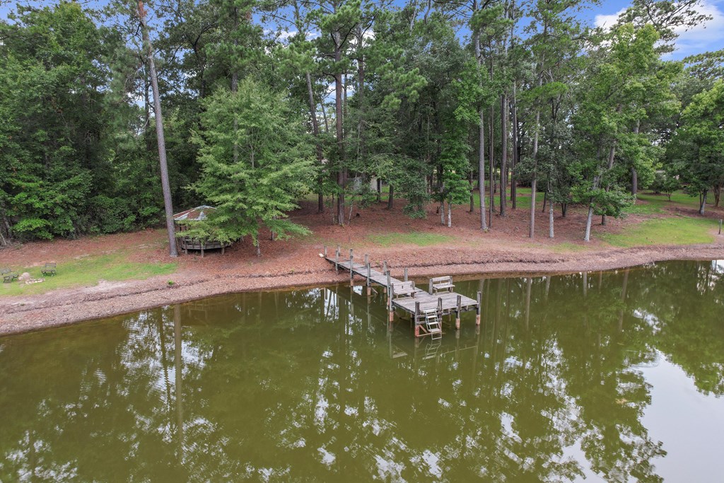 6850 North Co Road Columbia, AL 36319 - Photo 66 of 81