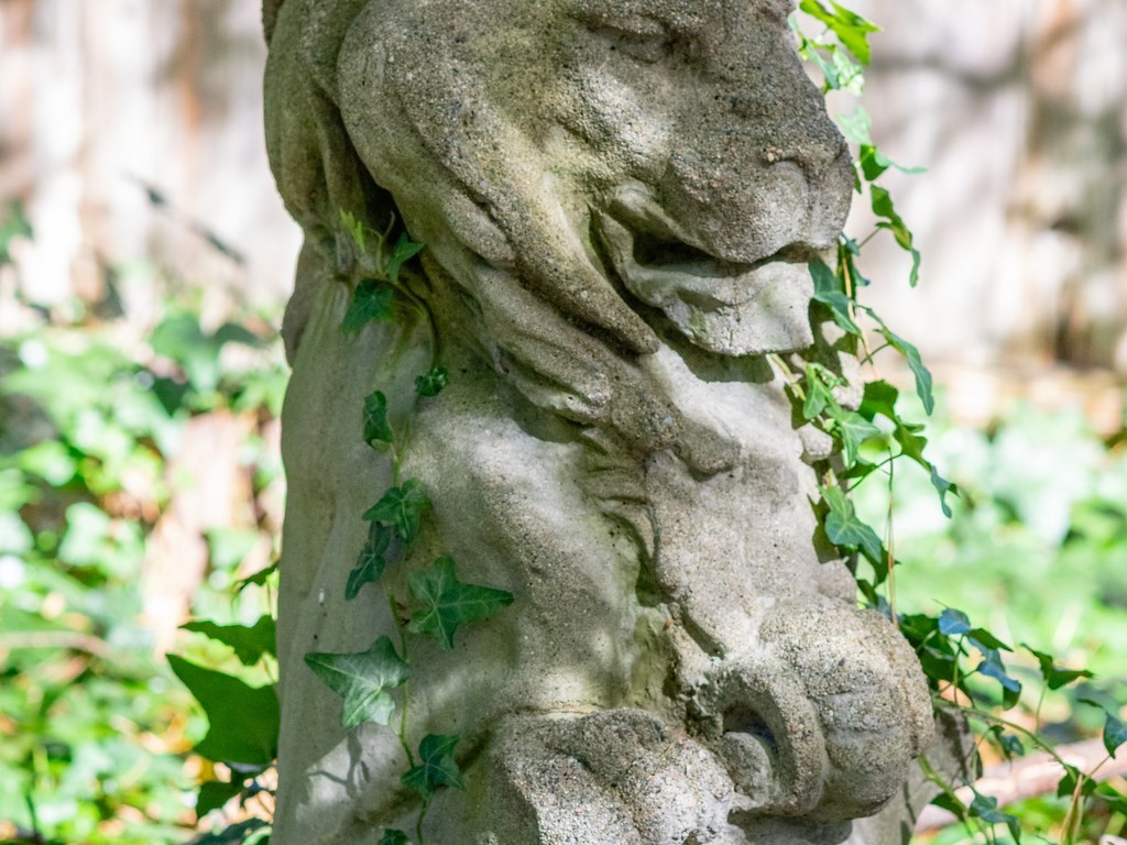 57 Mayflower Road Needham, MA 02492 - Photo 7 of 26