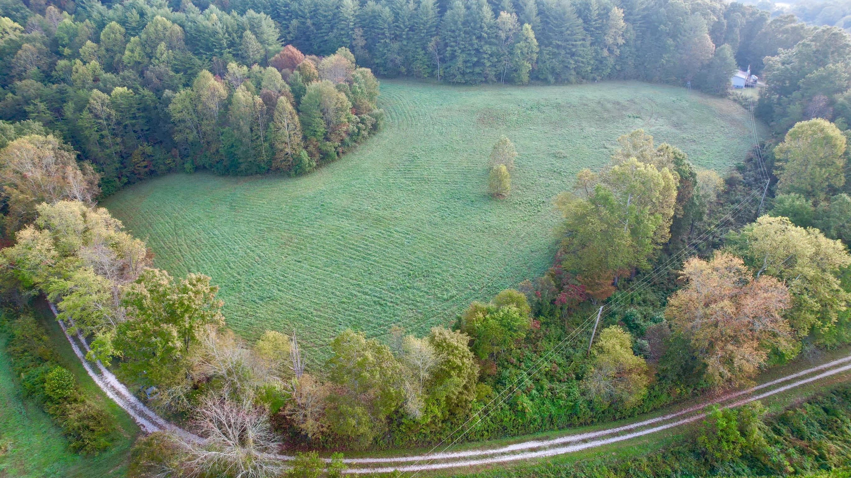 11798 Elbert Shepherd Road London, KY 40741 - Photo 4 of 11 Elbert 4