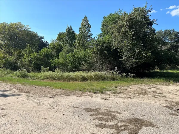 a view of backyard with green space