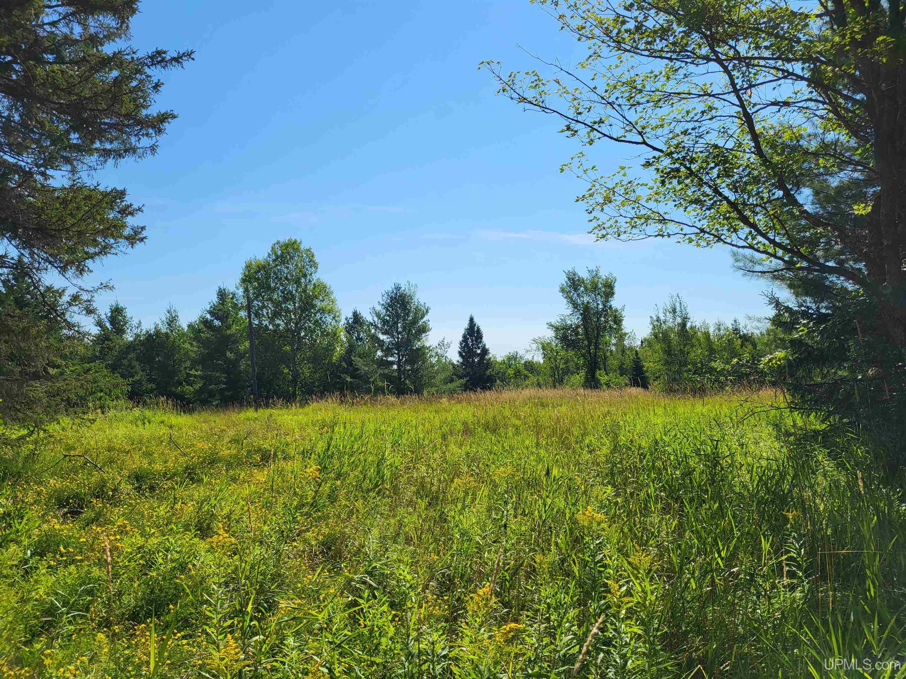 Tbd Tbd Hall Road Bruce Crossing, MI 49912 - Photo 5 of 7