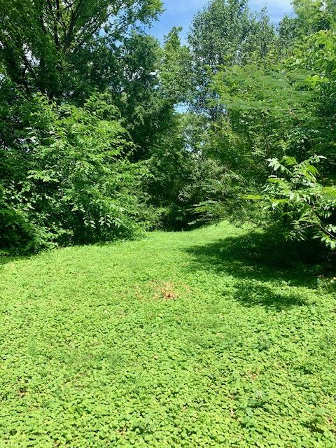 1333 North Concord Road Chattanooga, TN 37421 - Photo 41 of 45 back yard