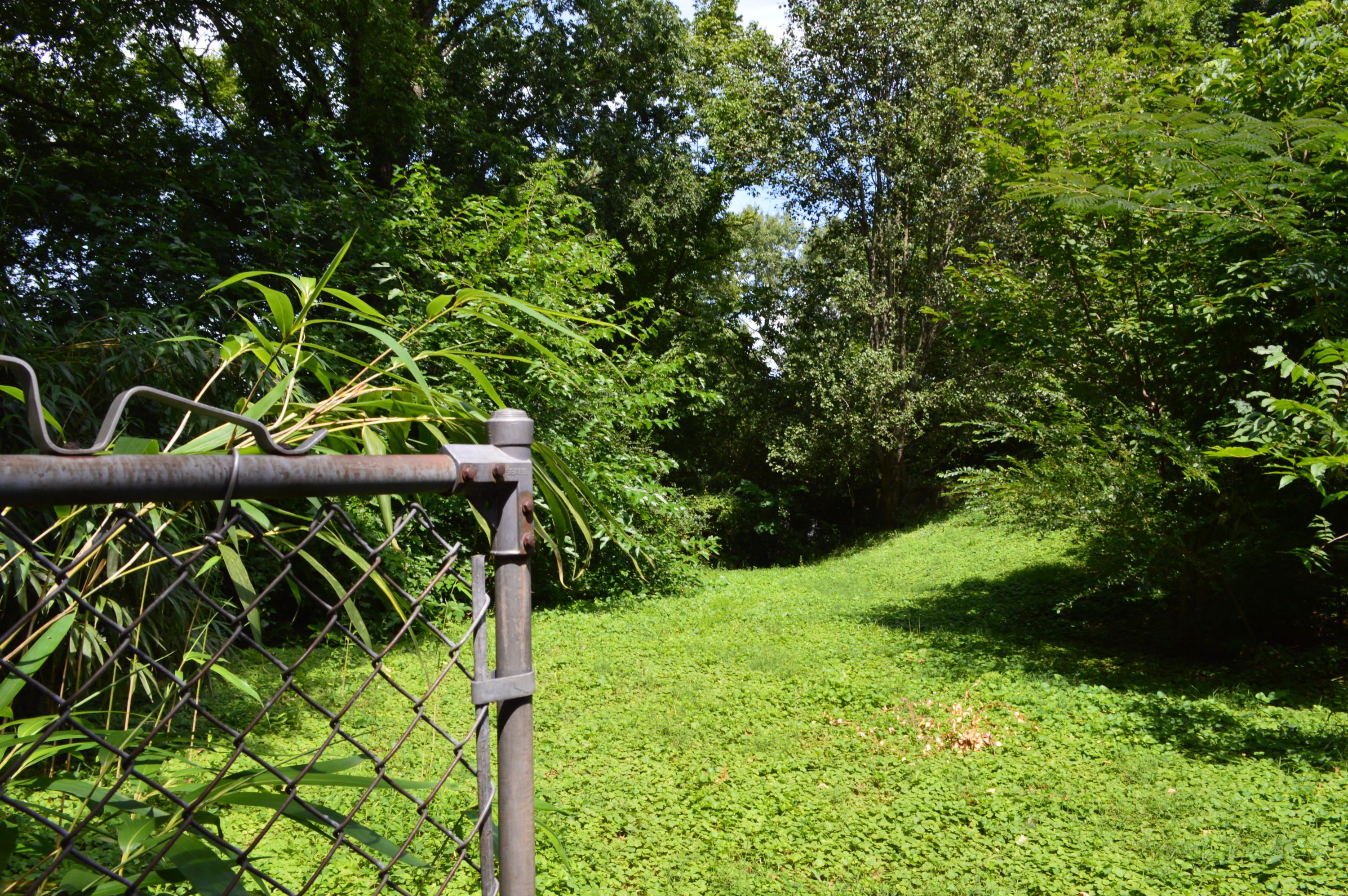 1333 North Concord Road Chattanooga, TN 37421 - Photo 45 of 45 N. Concord 026