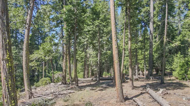 $80,000 | 403 Sierra Parkway, Arnold, CA 95223