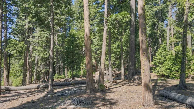 $80,000 | 403 Sierra Parkway, Arnold, CA 95223