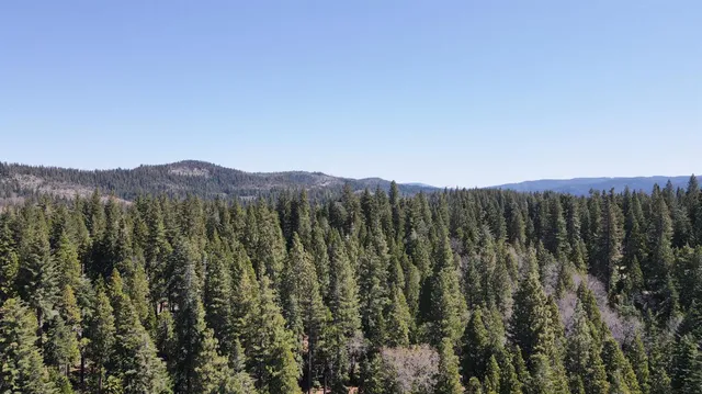 $80,000 | 403 Sierra Parkway, Arnold, CA 95223