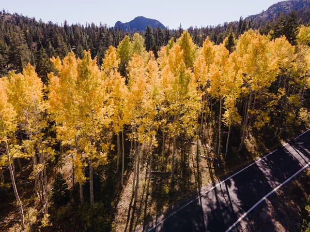 $80,000 | 403 Sierra Parkway, Arnold, CA 95223