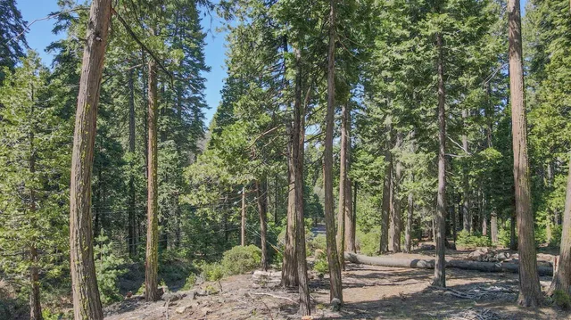 $80,000 | 403 Sierra Parkway, Arnold, CA 95223