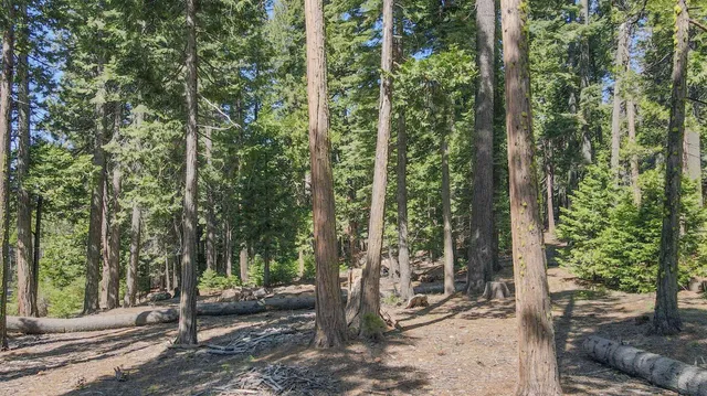 $80,000 | 403 Sierra Parkway, Arnold, CA 95223