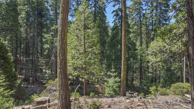 $80,000 | 403 Sierra Parkway, Arnold, CA 95223