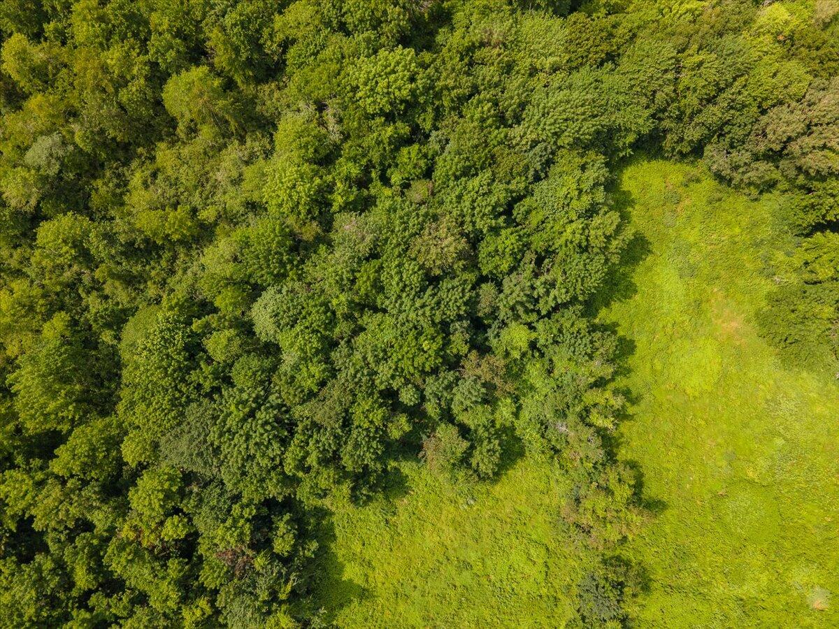392 Old County Road Rockland, ME 04841 - Photo 10 of 29 10-392 OCR-10