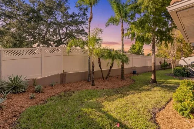 a view of a yard with a tree