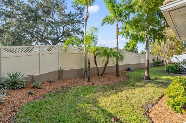 a view of backyard and house