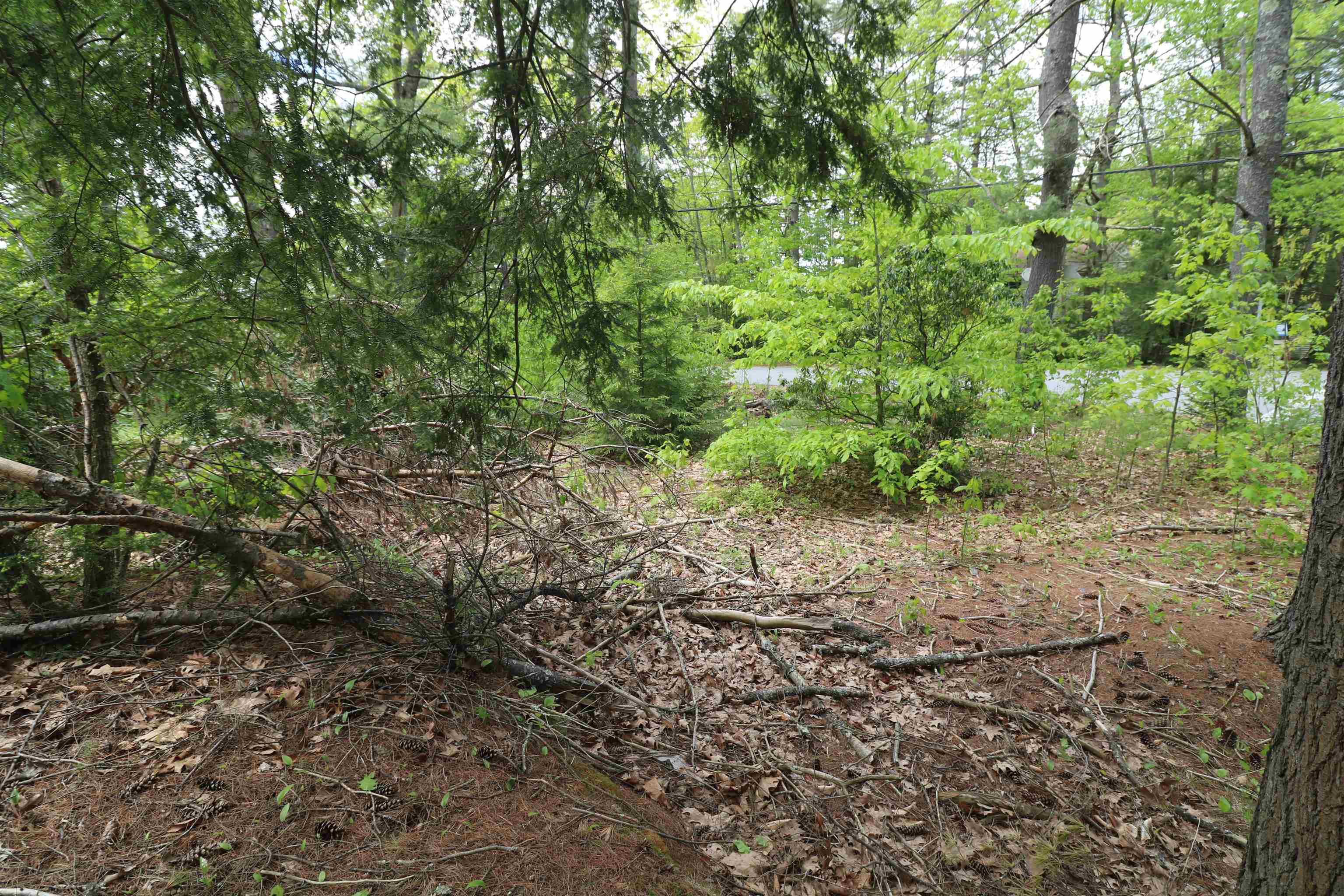 246 Squantum Road Jaffrey, NH 03452 - Photo 2 of 46 Gallery Image 2