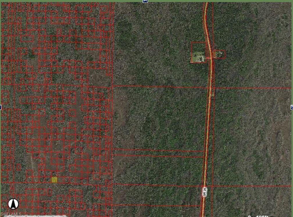 No Road Ochopee, FL 34141 - Photo 1 of 7