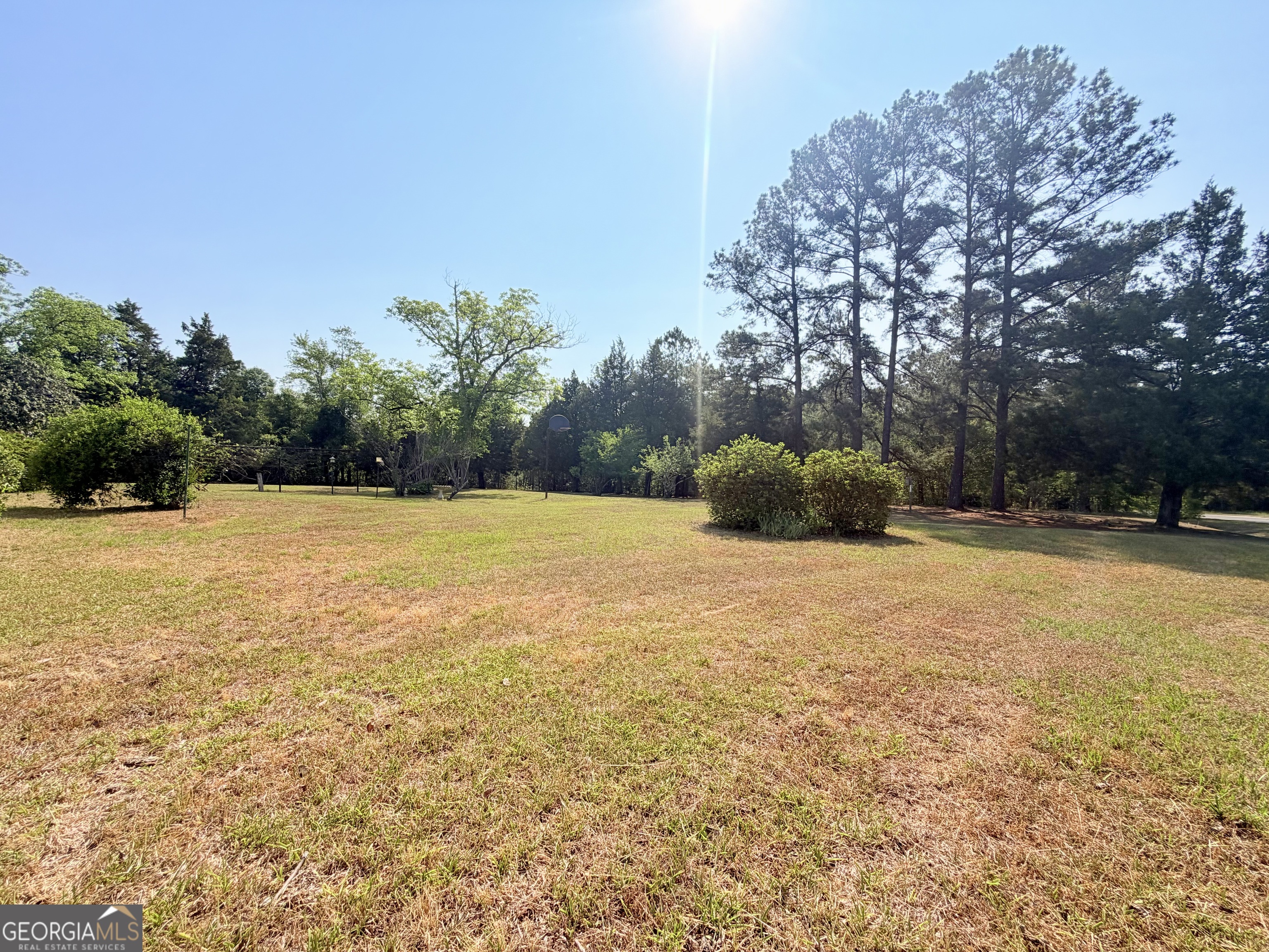17 2nd Street McRae-Helena, GA 31037 - Photo 39 of 51 a view of a swimming pool and trees in the background