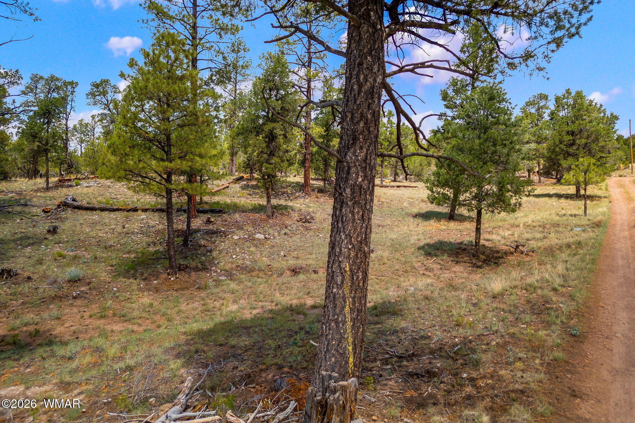 007 H Chevelon Road Heber, AZ 85928 - Photo 6 of 12