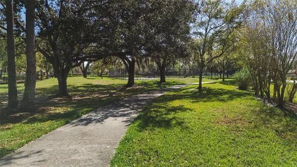 a view of a tree in a yard