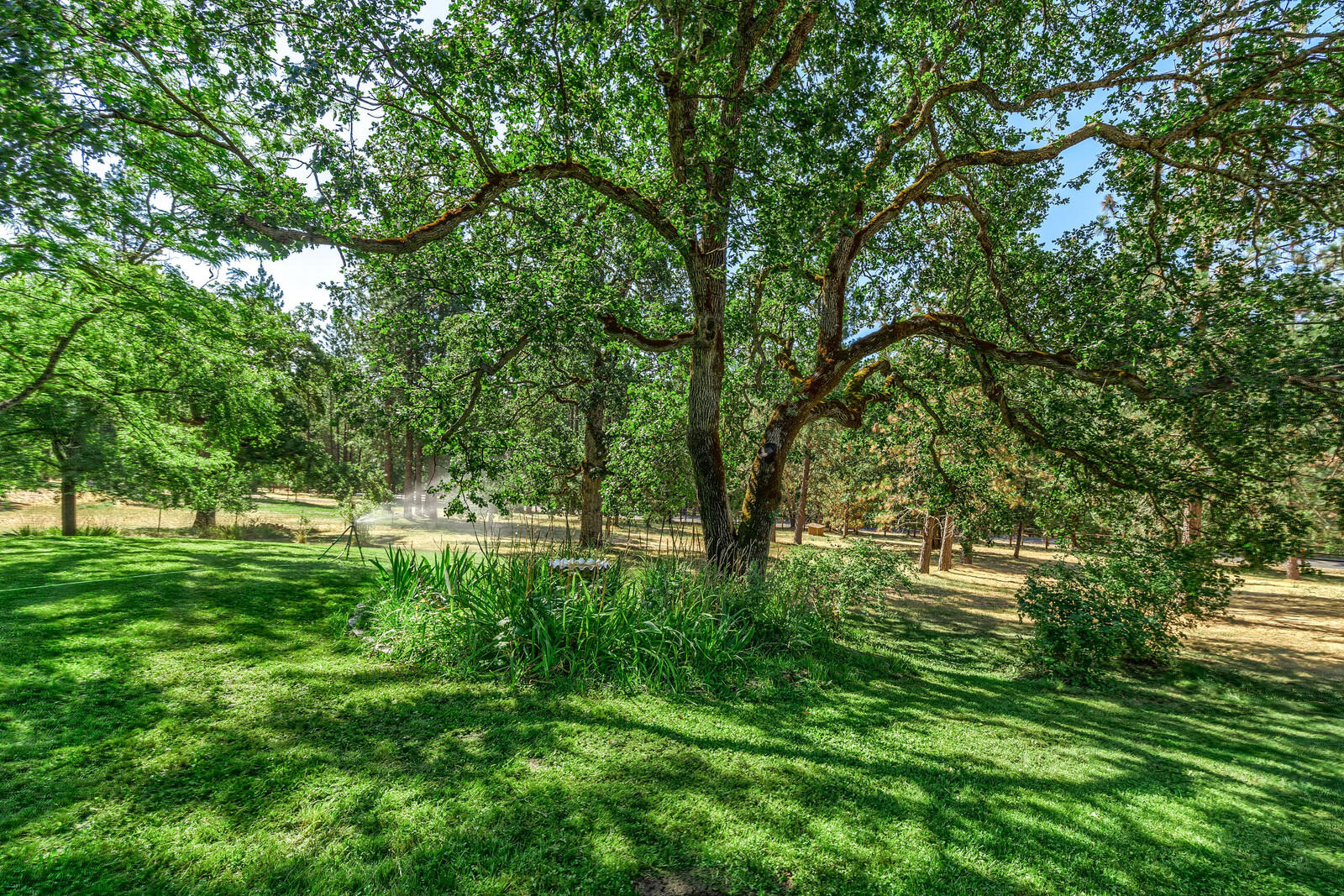 500 Kincaid Road Williams, OR 97544 - Photo 54 of 74 06_KR_6_mls