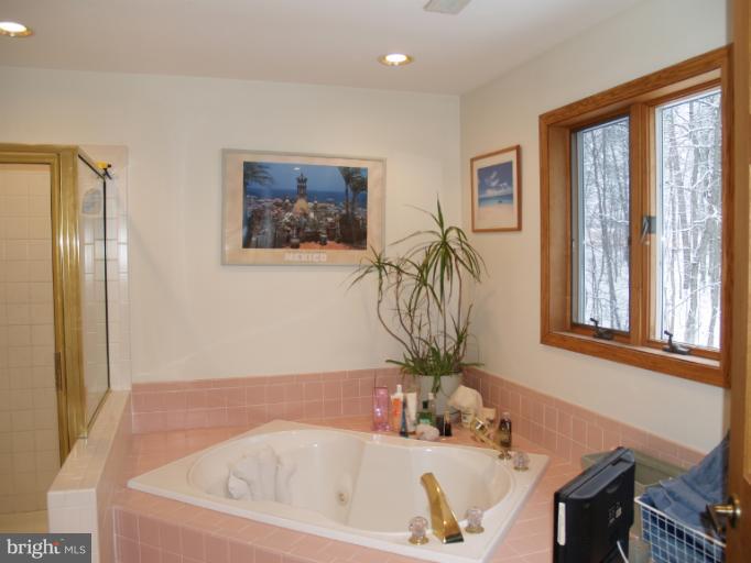 8053 Chestnut Grove Road Frederick, MD 21701 - Photo 17 of 21 Bath (Master)