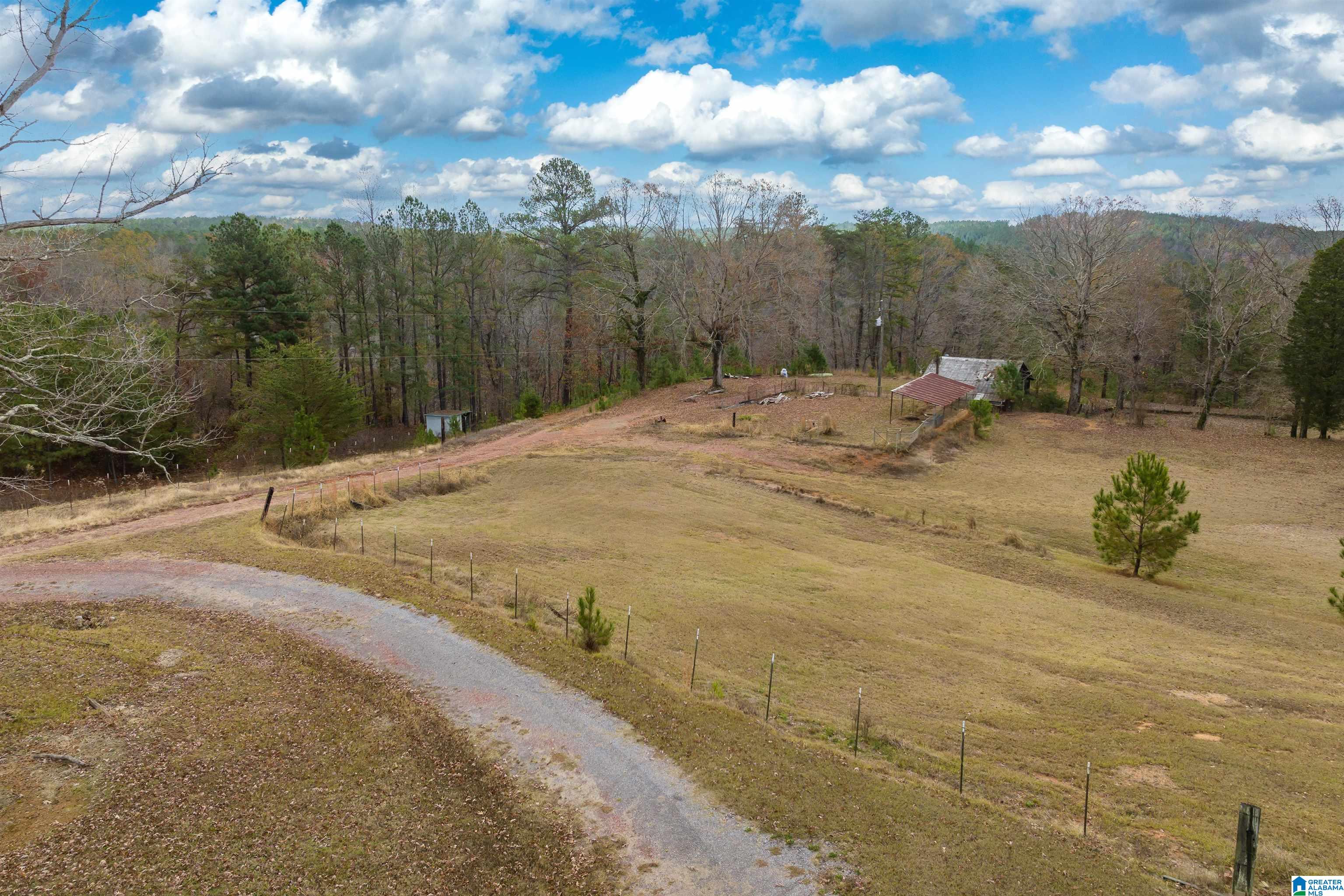 2930 Pridmore Road Quinton, AL 35130 - Photo 36 of 46