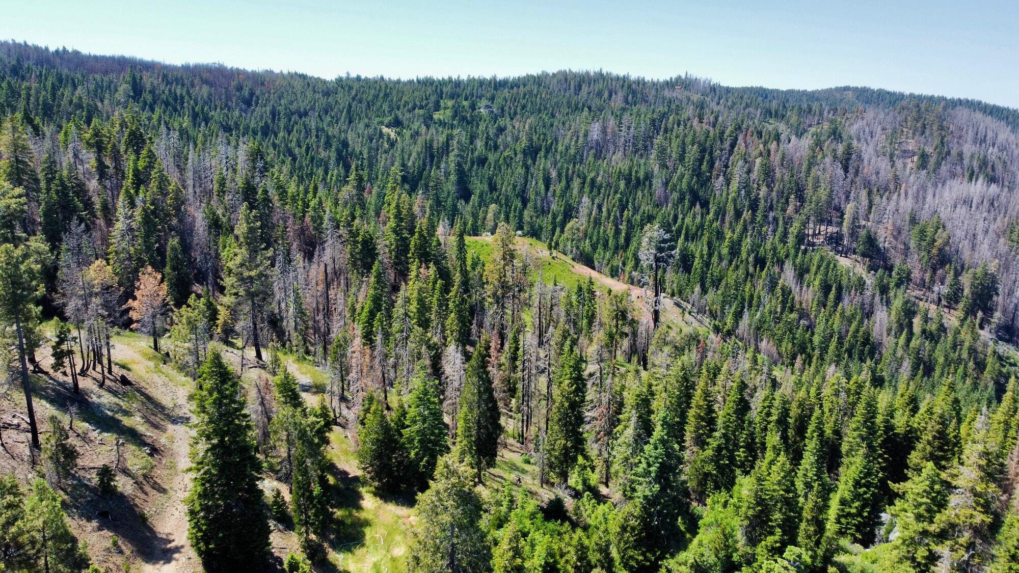 40-acres 40-acres Ammon Ridge Road Willow Creek, CA 95573 - Photo 7 of 28