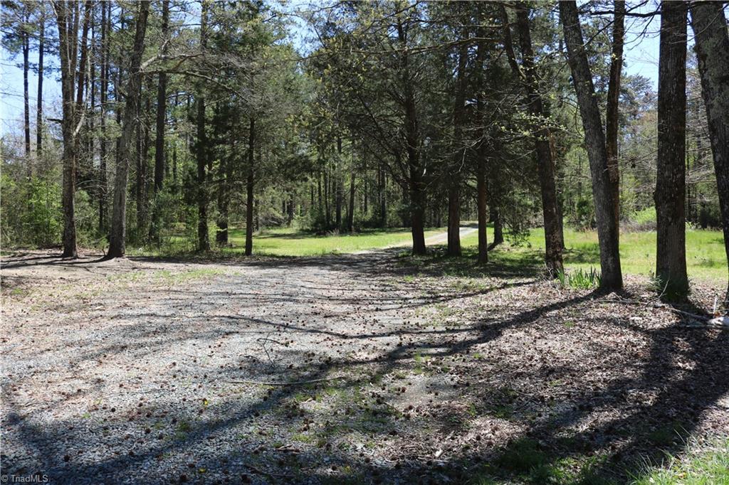 6327 Phillippi Road Julian, NC 27283 - Photo 15 of 16 Gravel Road Leading to House
