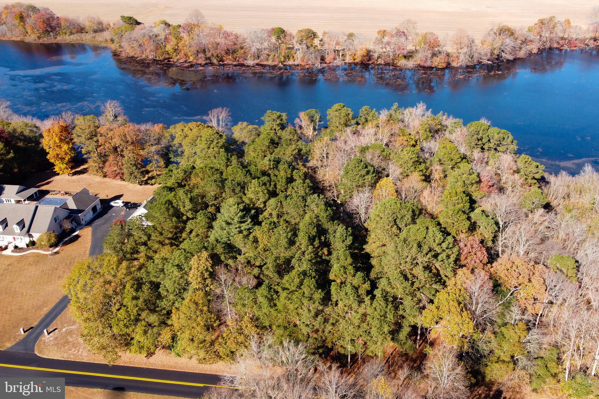 Lot 4 Reynolds Pond Road Ellendale, DE 19941 - Photo 4 of 6