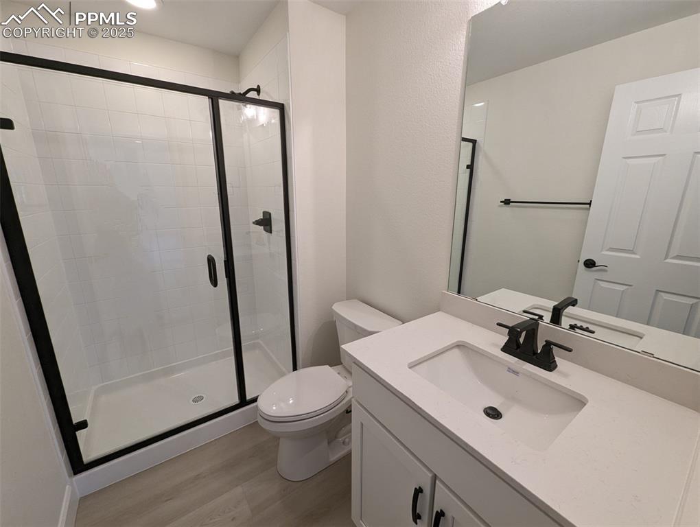 16966 Starfall Drive Monument, CO 80132 - Photo 9 of 18 a bathroom with a sink a toilet a mirror and shower