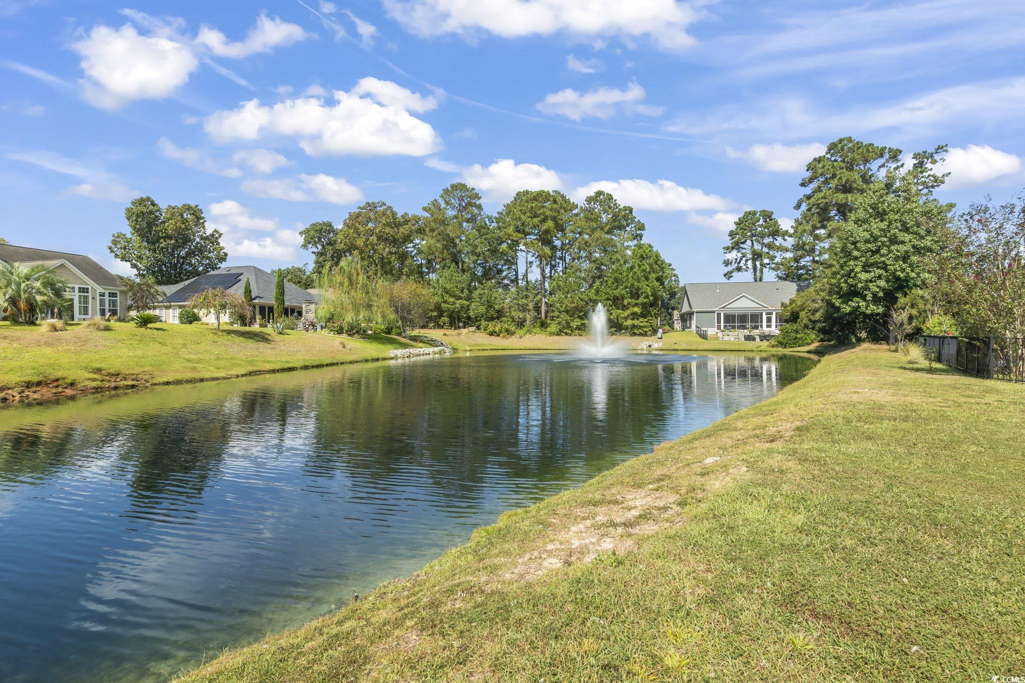 175 Rivers Edge Drive Conway, SC 29526 - Photo 5 of 37 Water view