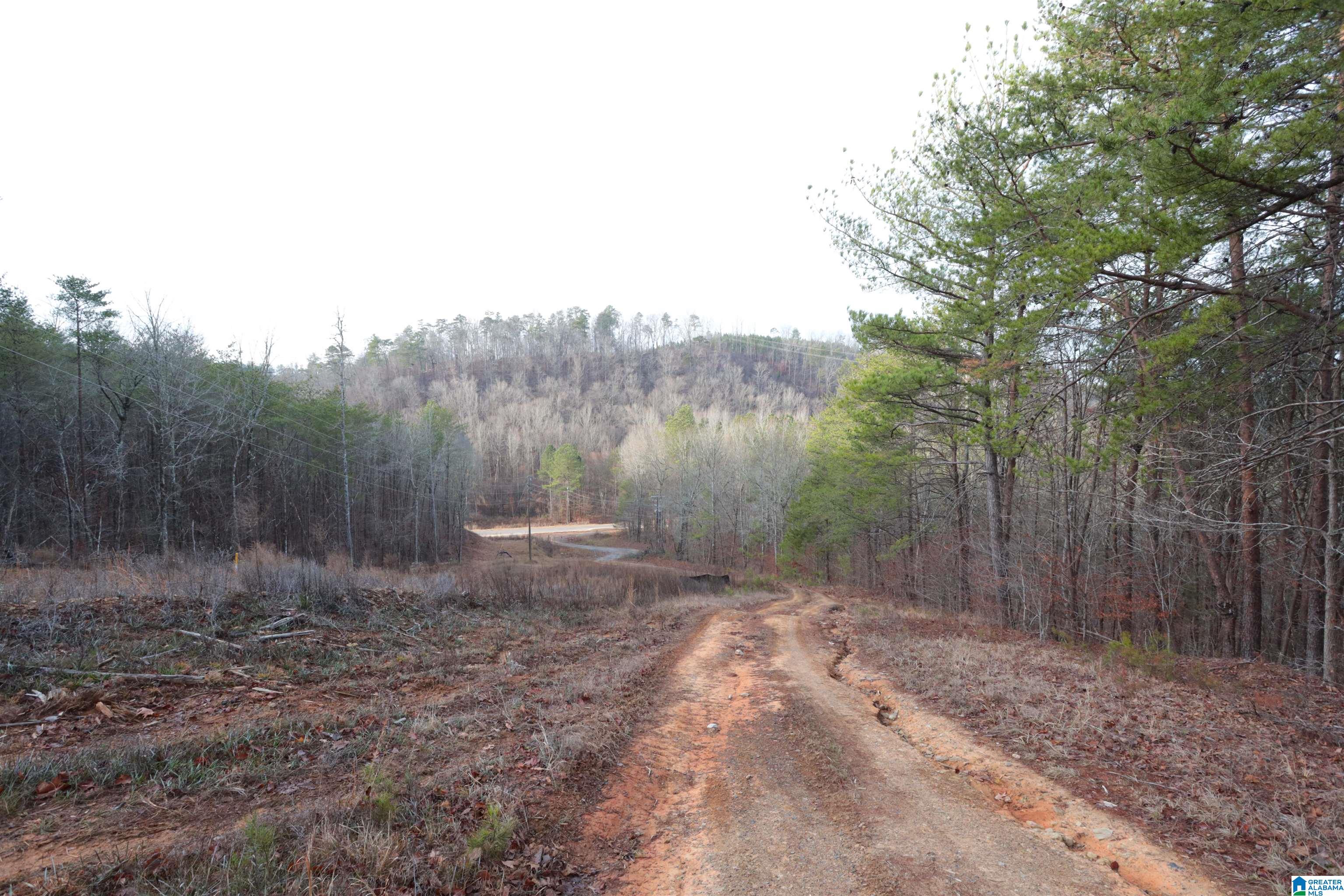 8751 Groundhog Road, Unit 41 ACRES Adger, AL 35006 - Photo 12 of 17