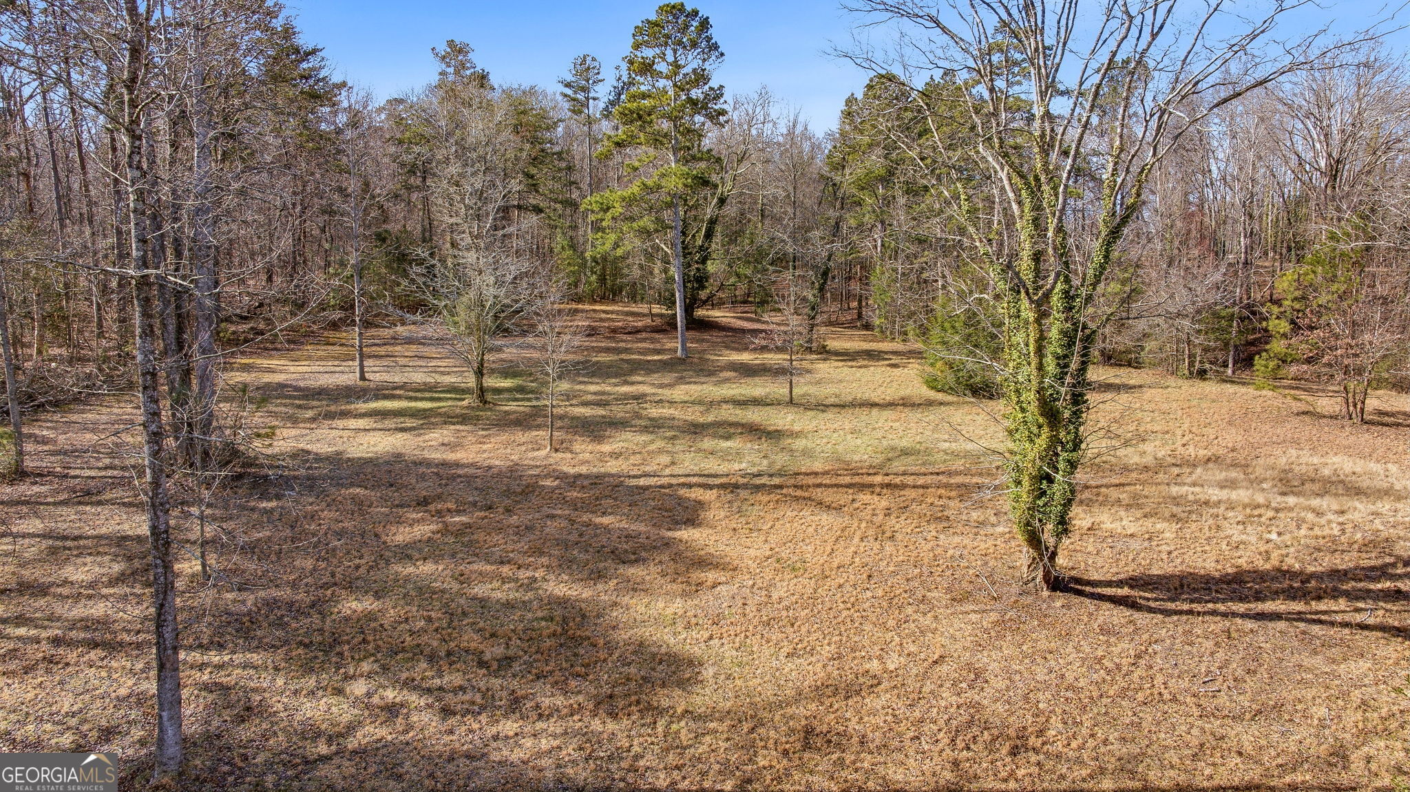 1046 Chase Road Cornelia, GA 30531 - Photo 56 of 61