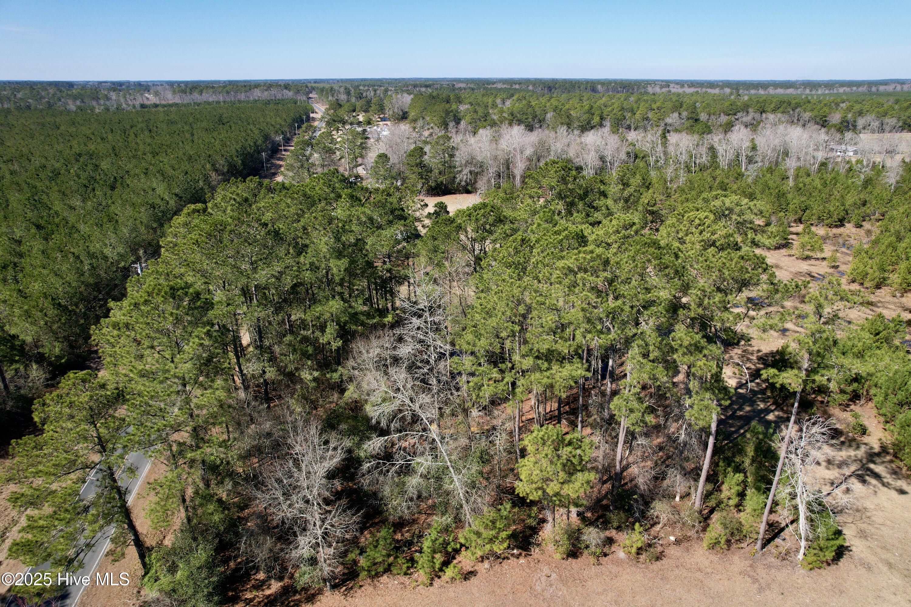 0 Ward Town Road North Whiteville, NC 28472 - Photo 12 of 29 Image 10