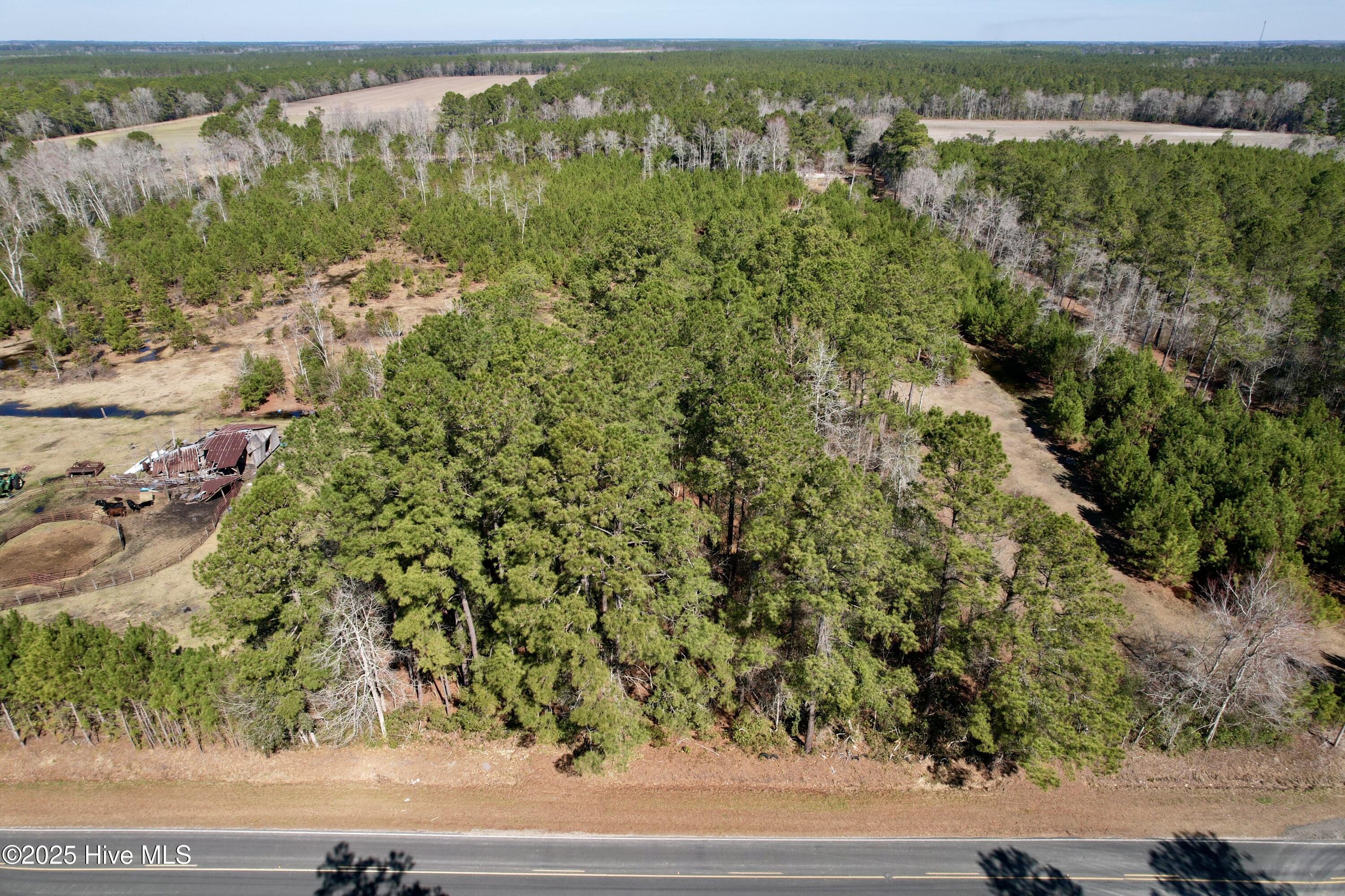 0 Ward Town Road North Whiteville, NC 28472 - Photo 13 of 29 Image 11