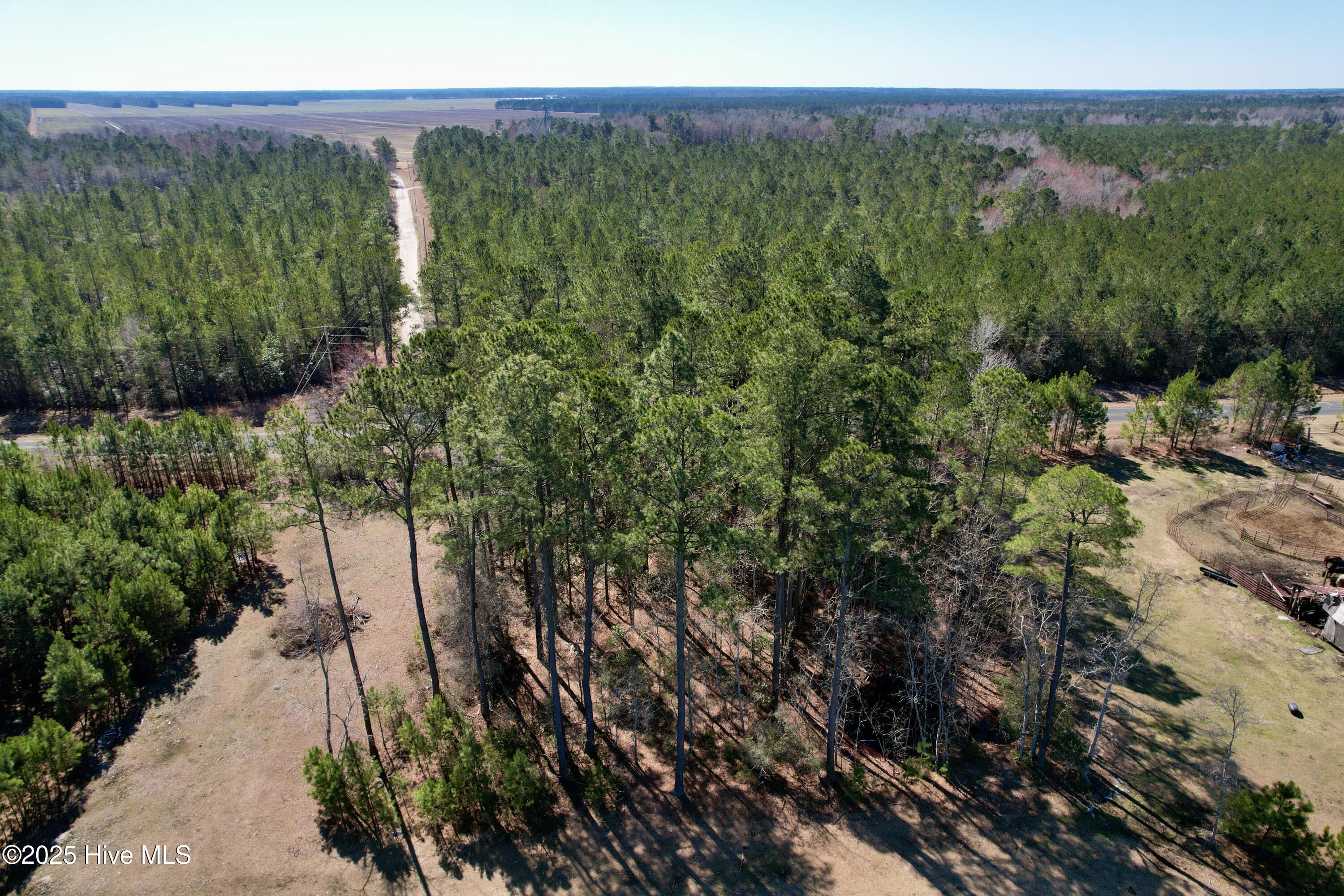 0 Ward Town Road North Whiteville, NC 28472 - Photo 14 of 29 Image 12