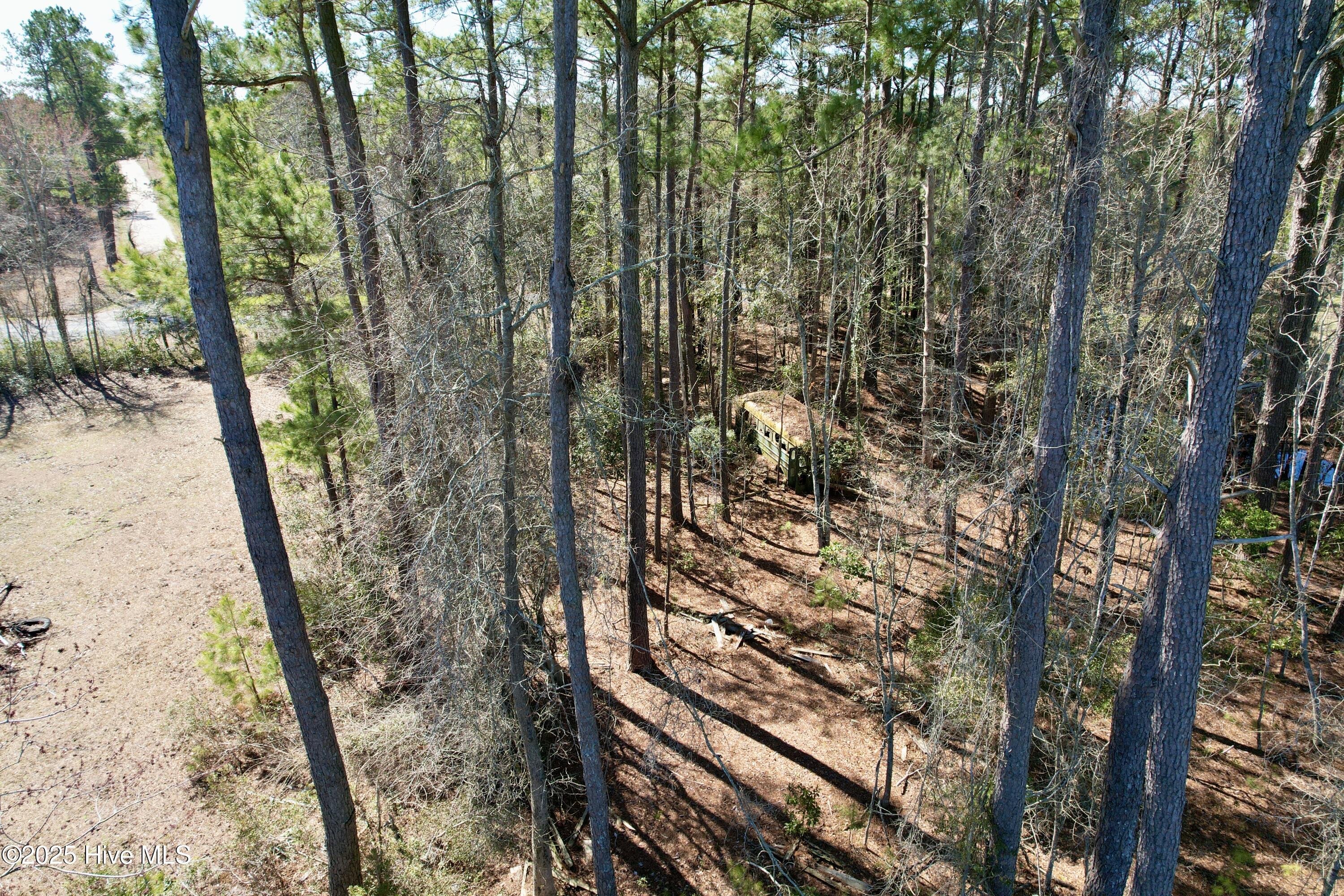 0 Ward Town Road North Whiteville, NC 28472 - Photo 15 of 29 Image 13