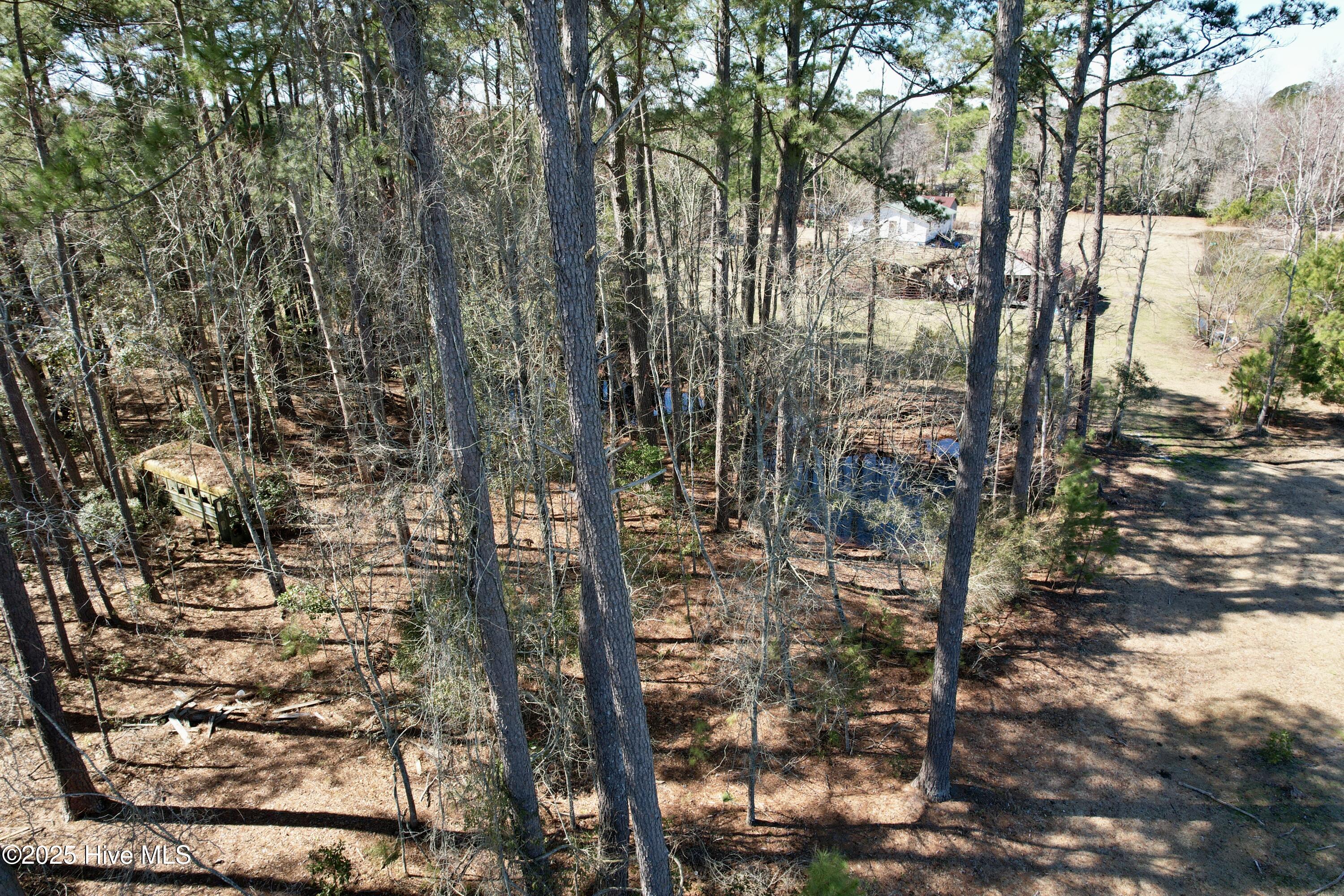 0 Ward Town Road North Whiteville, NC 28472 - Photo 16 of 29 Image 14