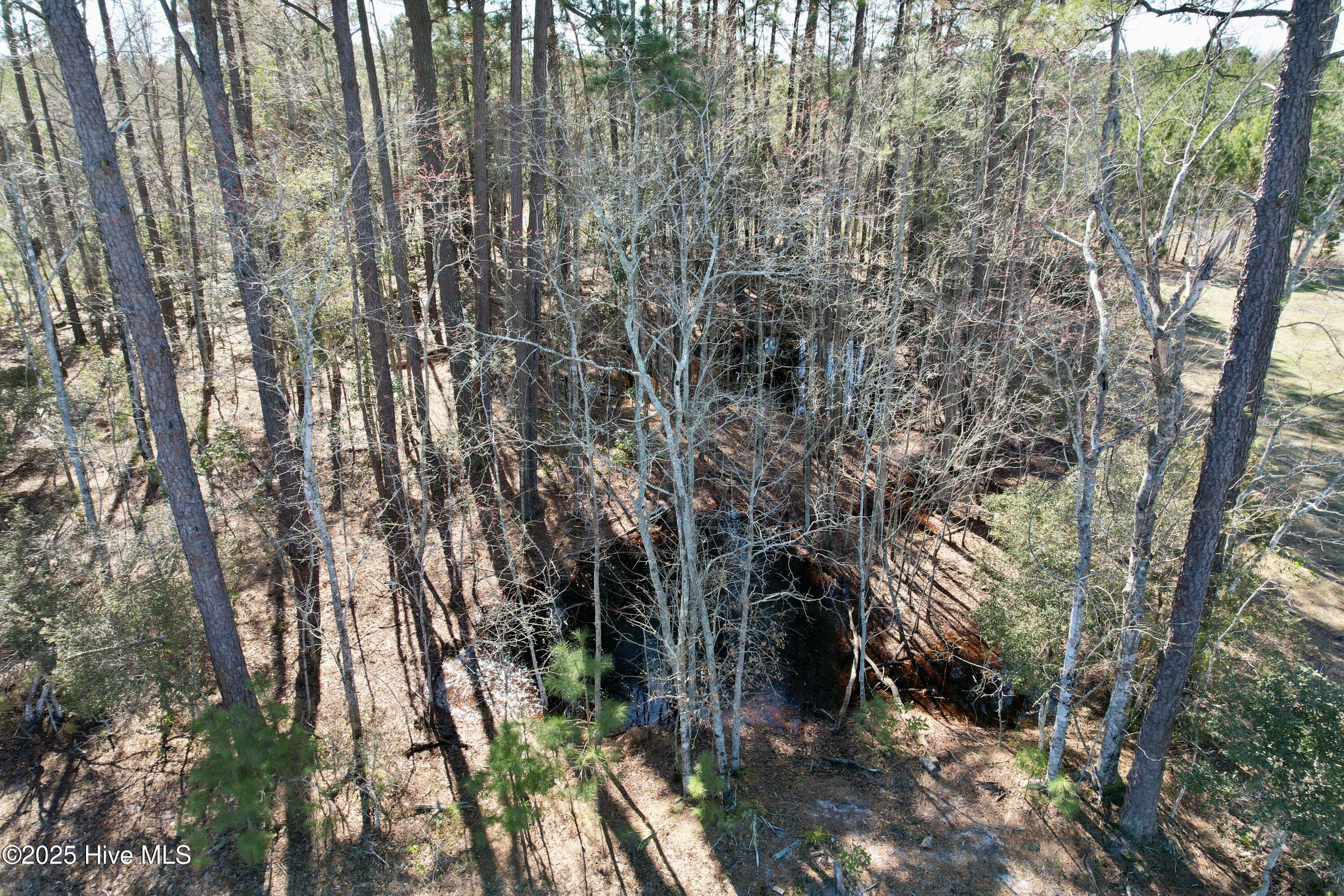0 Ward Town Road North Whiteville, NC 28472 - Photo 17 of 29 Image 15
