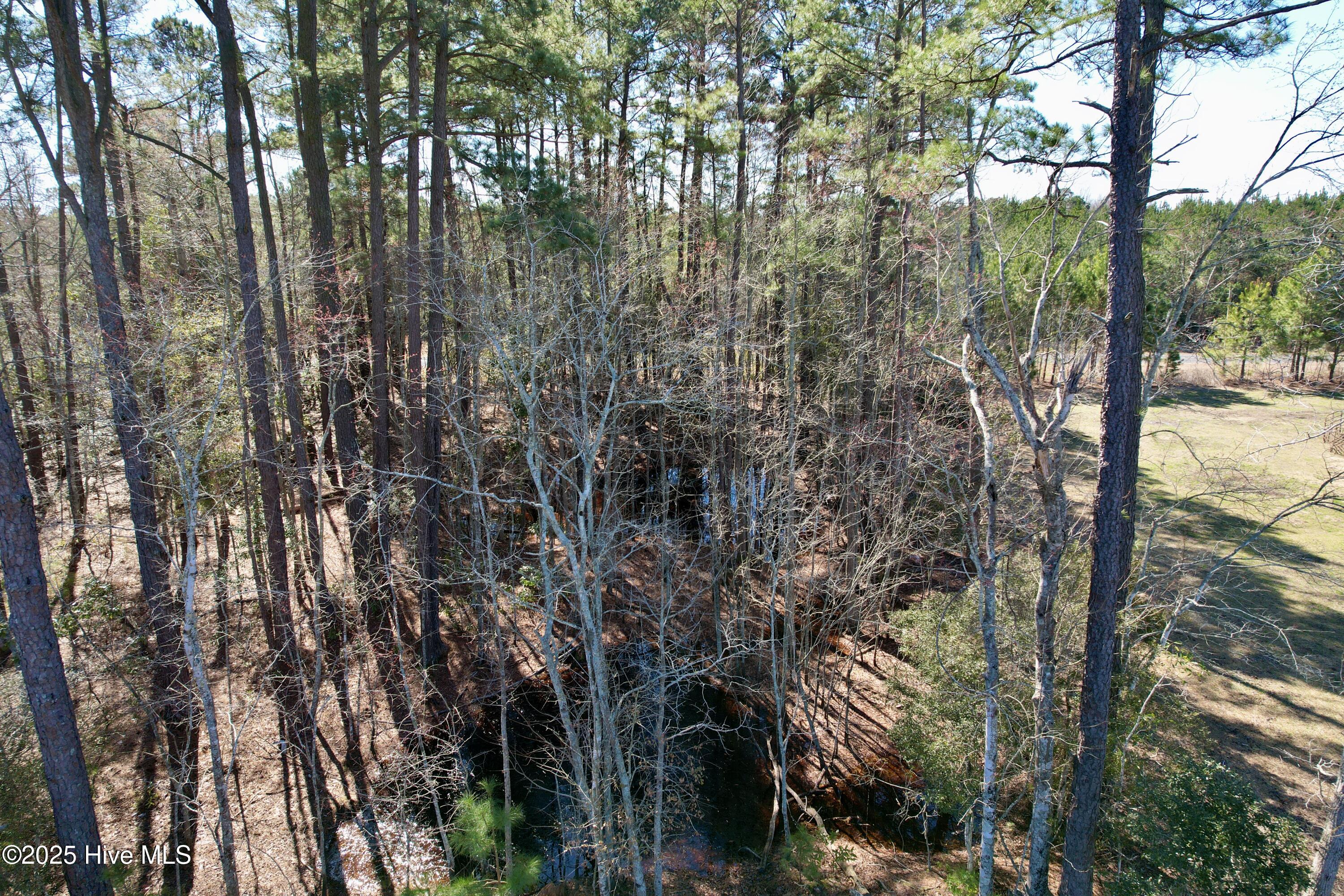 0 Ward Town Road North Whiteville, NC 28472 - Photo 19 of 29 Image 17