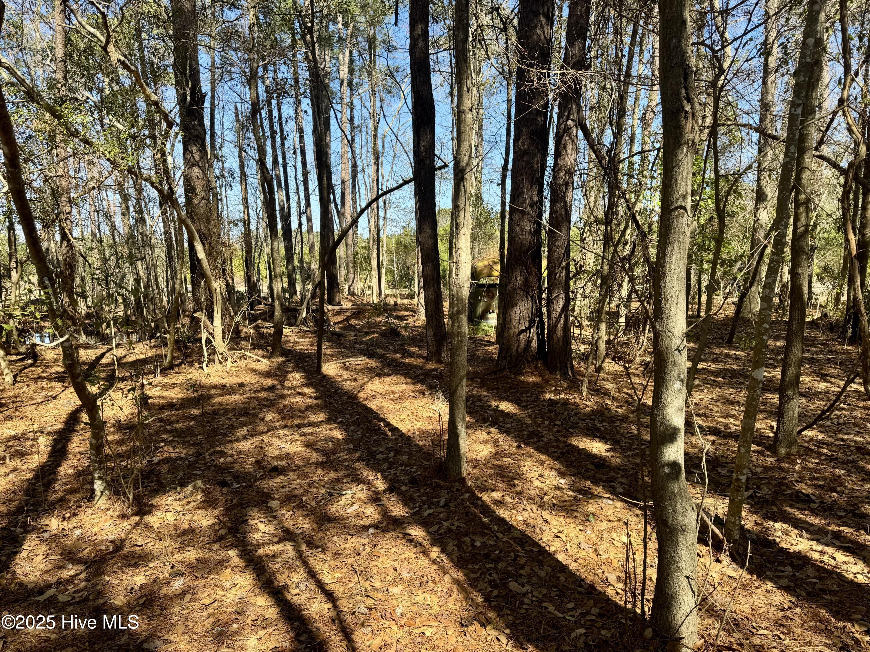 0 Ward Town Road North Whiteville, NC 28472 - Photo 23 of 29 Image 21