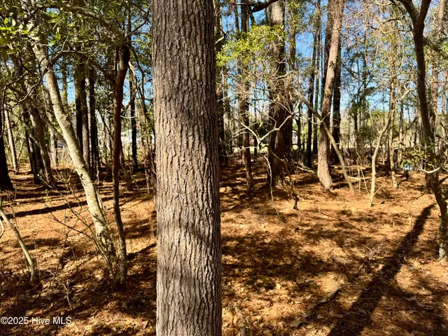 $20,000 | 0 Ward Town Road North, Whiteville, NC 28472