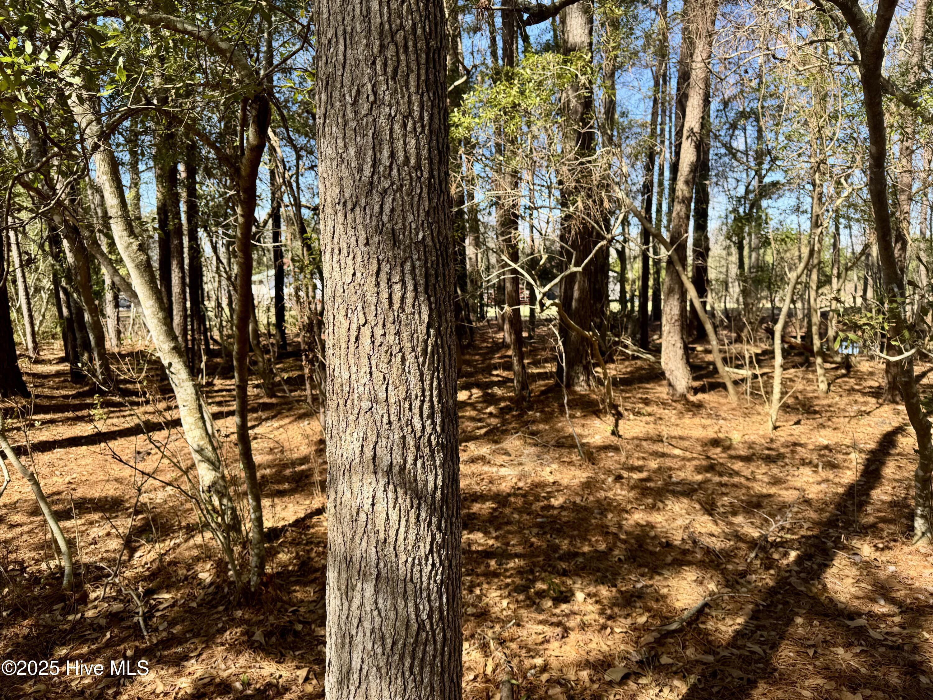 0 Ward Town Road North Whiteville, NC 28472 - Photo 24 of 29 Image 22