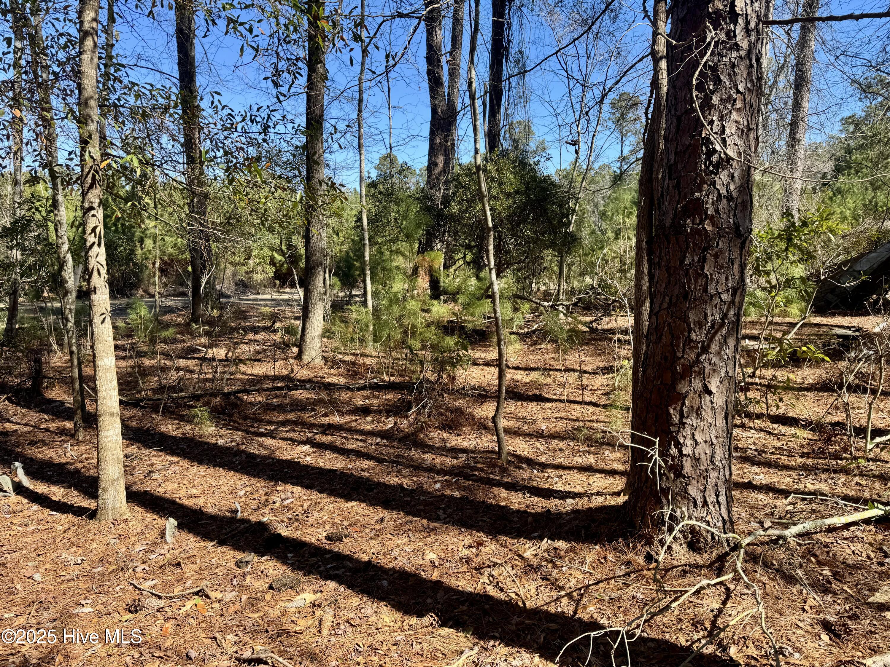 0 Ward Town Road North Whiteville, NC 28472 - Photo 28 of 29 Image 26