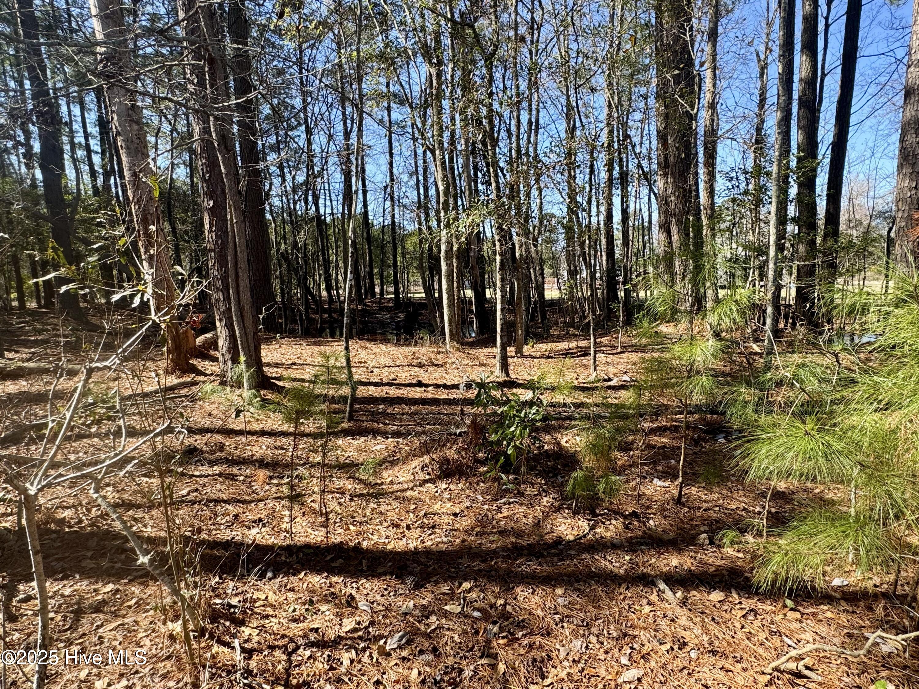 0 Ward Town Road North Whiteville, NC 28472 - Photo 29 of 29 Image 27