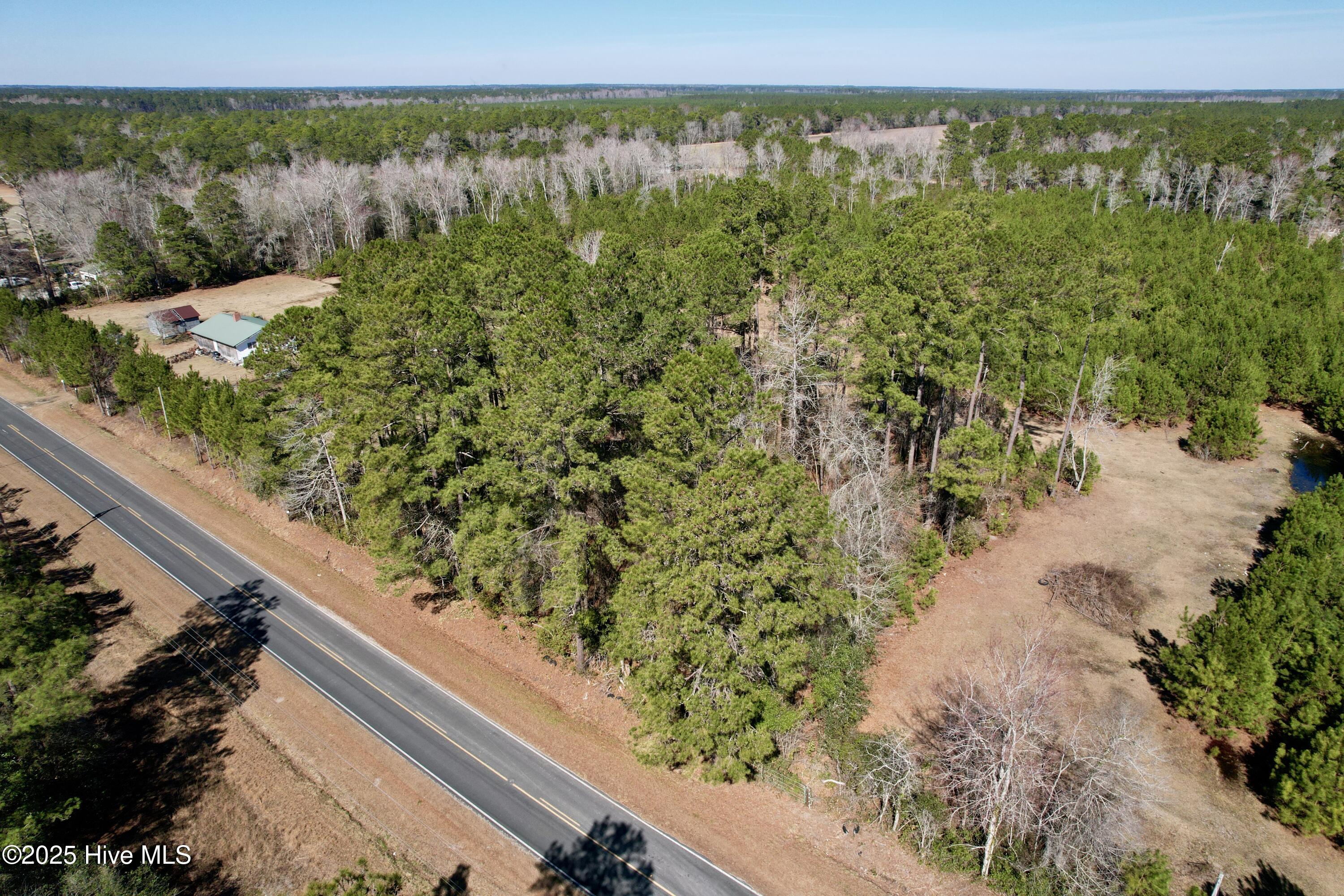 0 Ward Town Road North Whiteville, NC 28472 - Photo 3 of 29 Image 1