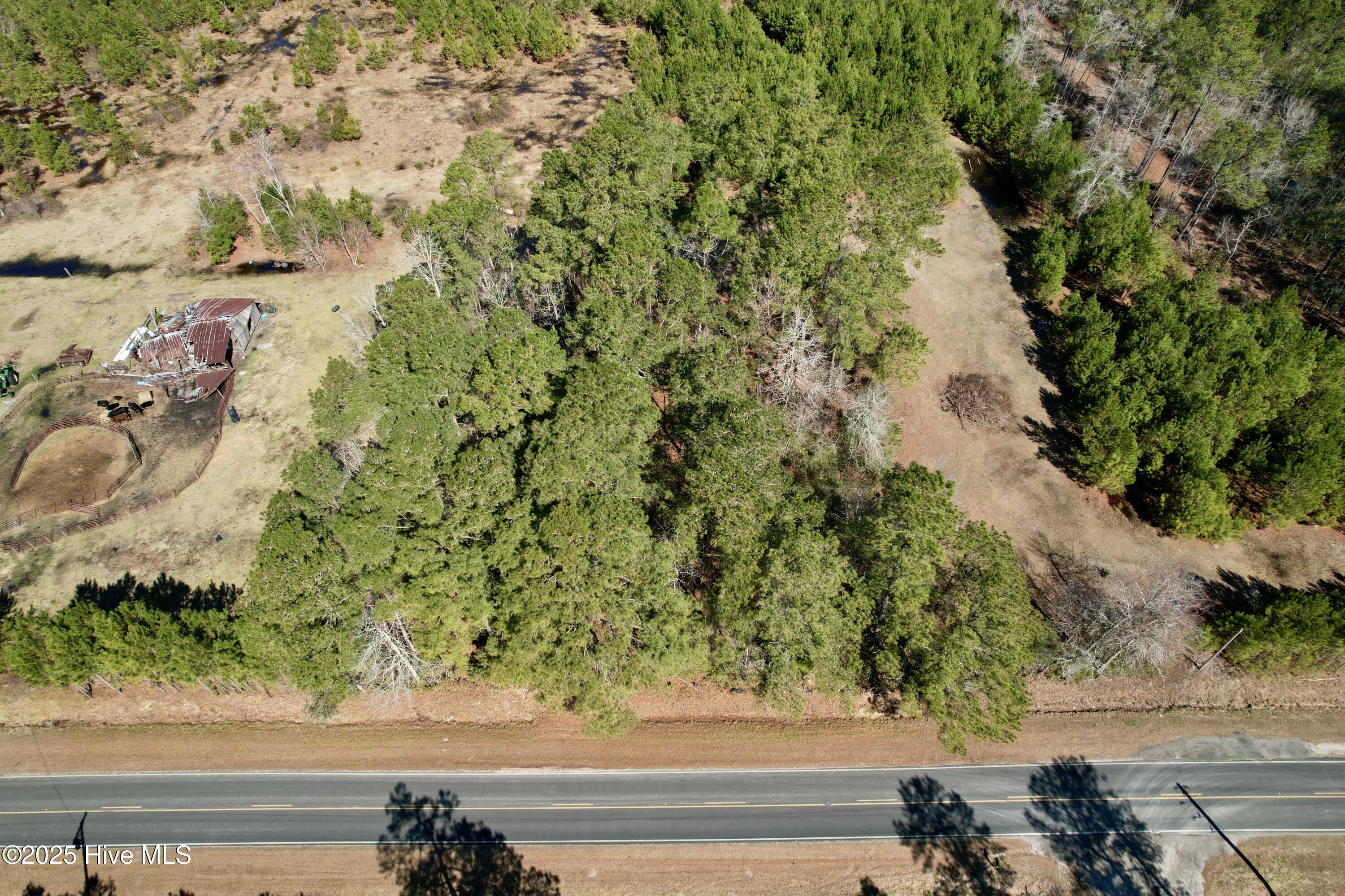 0 Ward Town Road North Whiteville, NC 28472 - Photo 4 of 29 Image 2