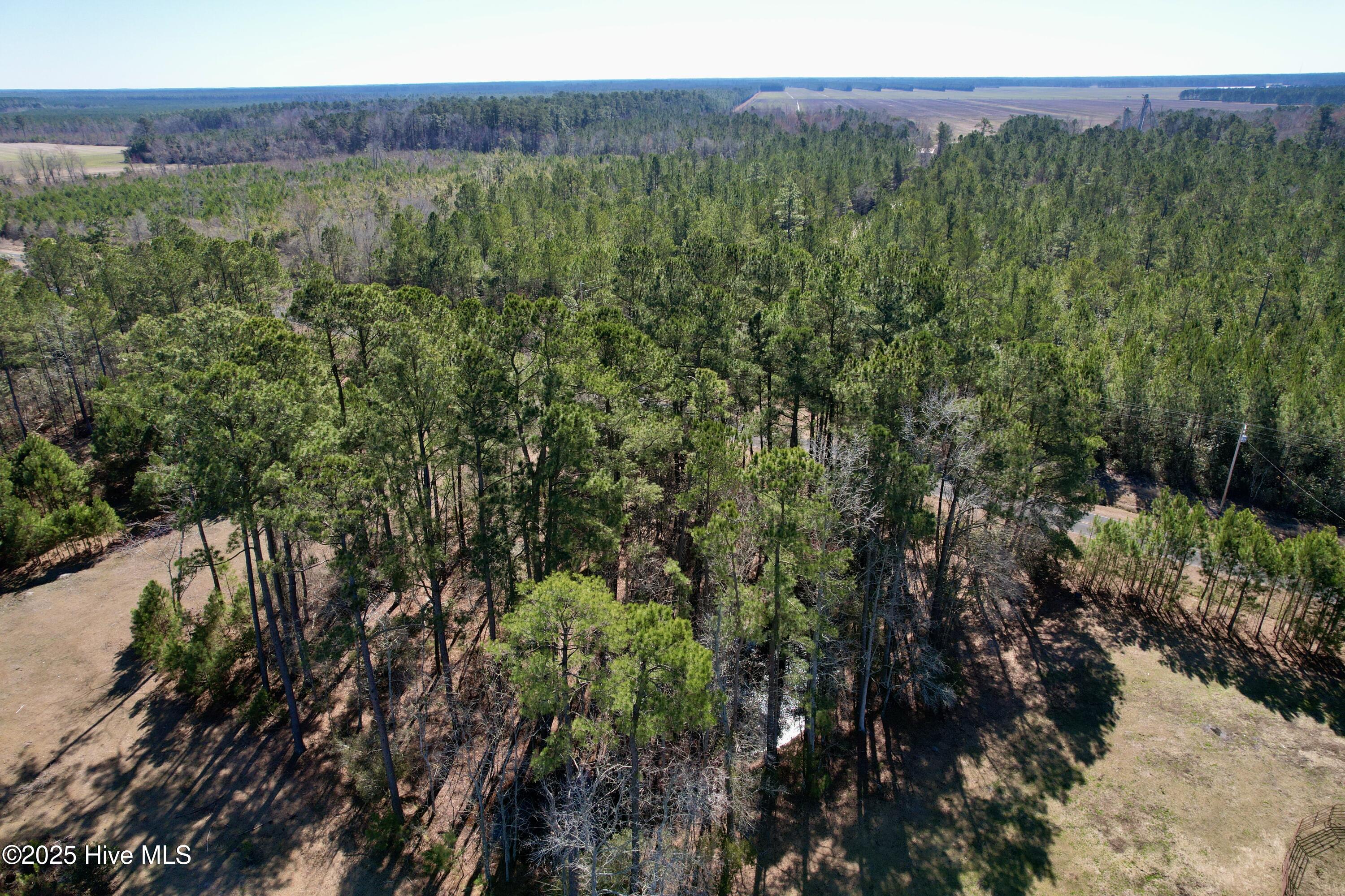 0 Ward Town Road North Whiteville, NC 28472 - Photo 6 of 29 Image 4